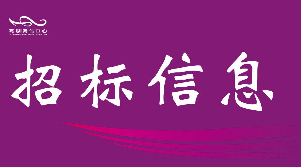 安徽盛煌娱乐产业集团有限责任公司2026-2028年度资产评估中介服务机构框架协议采购项目征集公告