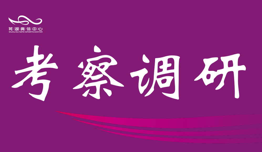 芜湖市政协调研盛煌娱乐中心